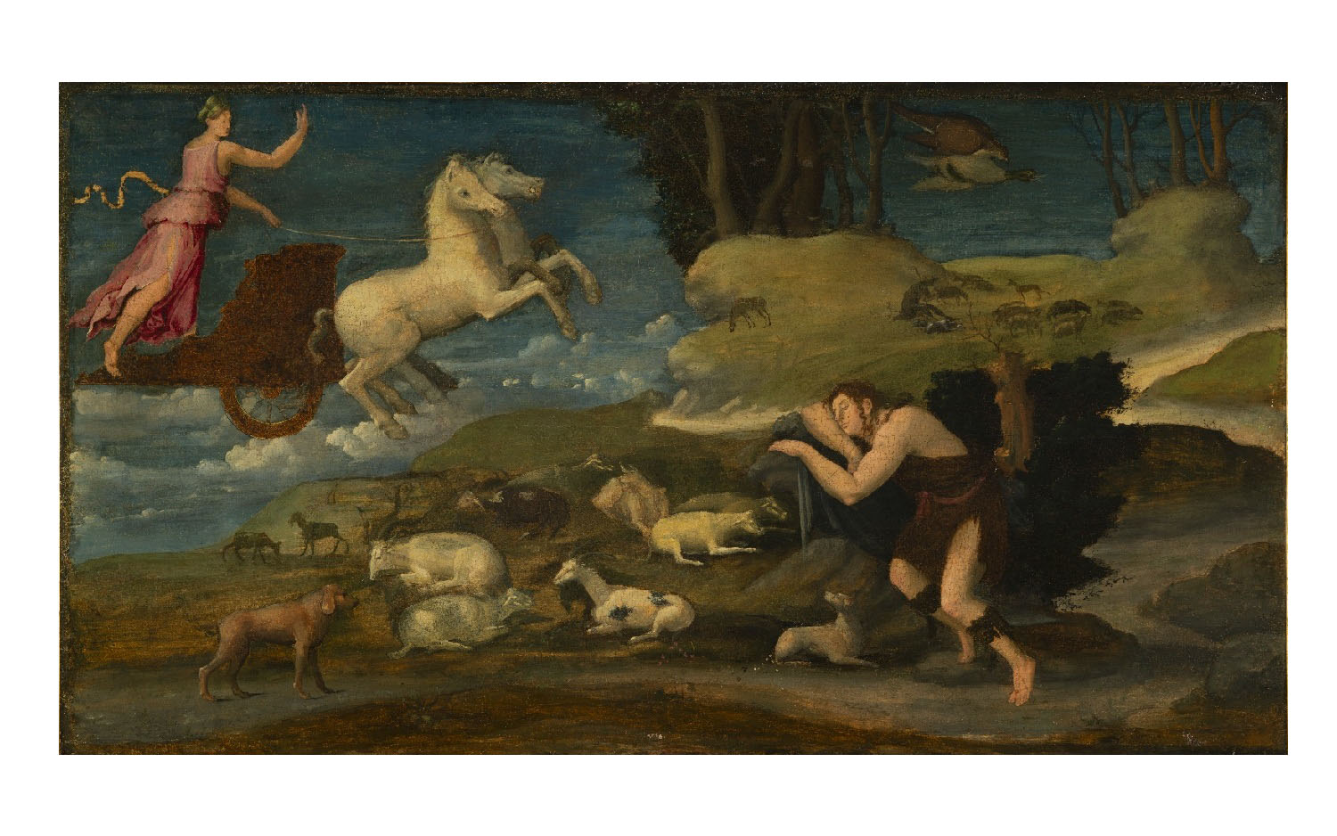 8 CHIGI Baldassarre Peruzzi Endimione e Selene AFL 8132